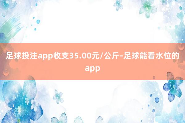 足球投注app收支35.00元/公斤-足球能看水位的app