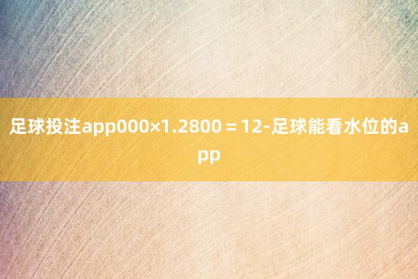 足球投注app000×1.2800=12-足球能看水位的app