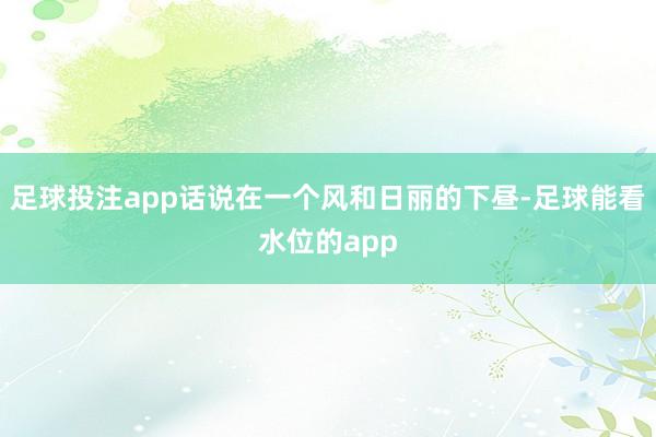 足球投注app话说在一个风和日丽的下昼-足球能看水位的app