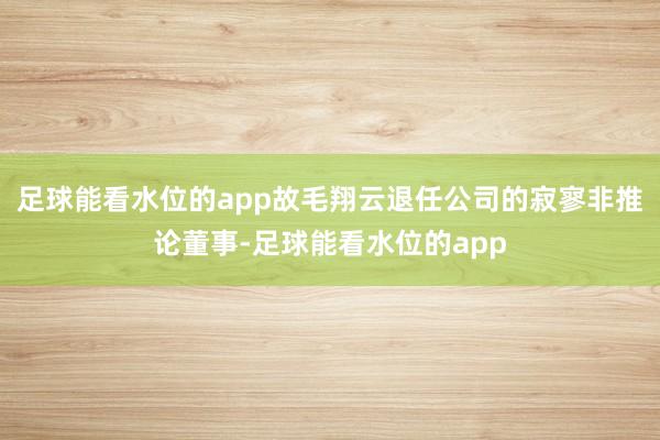 足球能看水位的app故毛翔云退任公司的寂寥非推论董事-足球能看水位的app