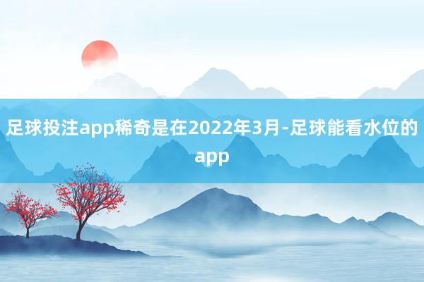 足球投注app稀奇是在2022年3月-足球能看水位的app