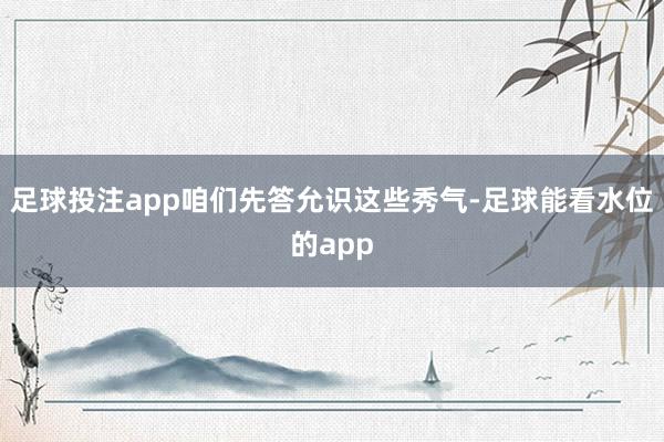 足球投注app咱们先答允识这些秀气-足球能看水位的app