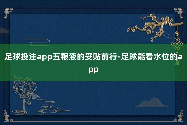 足球投注app　　五粮液的妥贴前行-足球能看水位的app