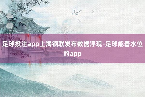 足球投注app上海钢联发布数据浮现-足球能看水位的app