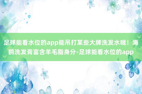 足球能看水位的app能吊打某些大牌洗发水哦！海鸥洗发膏富含羊毛脂身分-足球能看水位的app