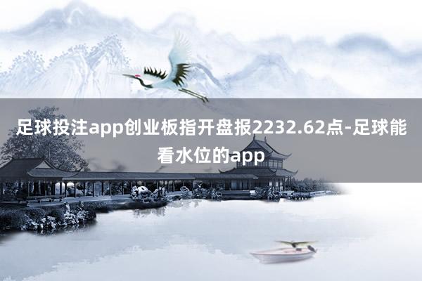 足球投注app创业板指开盘报2232.62点-足球能看水位的app