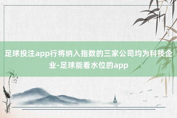 足球投注app行将纳入指数的三家公司均为科技企业-足球能看水位的app