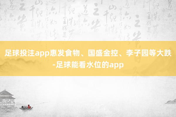 足球投注app惠发食物、国盛金控、李子园等大跌-足球能看水位的app