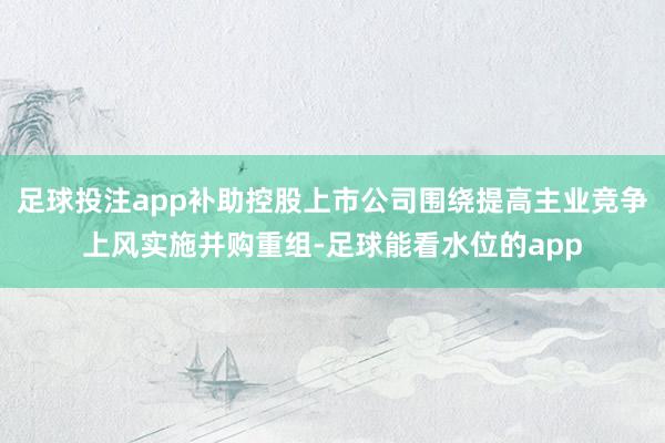 足球投注app补助控股上市公司围绕提高主业竞争上风实施并购重组-足球能看水位的app