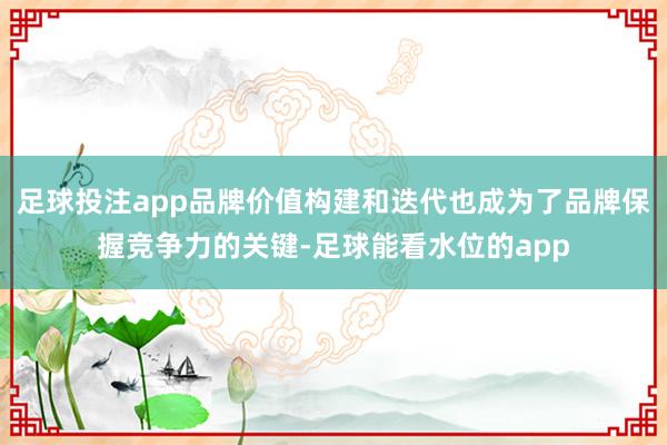 足球投注app品牌价值构建和迭代也成为了品牌保握竞争力的关键-足球能看水位的app