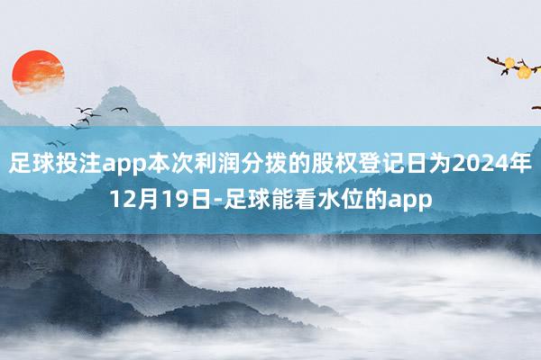 足球投注app本次利润分拨的股权登记日为2024年12月19日-足球能看水位的app