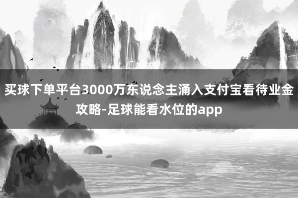 买球下单平台3000万东说念主涌入支付宝看待业金攻略-足球能看水位的app
