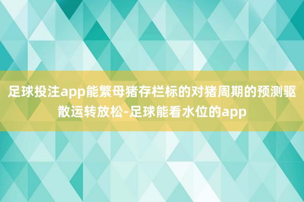 足球投注app能繁母猪存栏标的对猪周期的预测驱散运转放松-足球能看水位的app