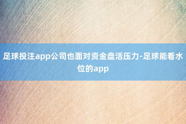 足球投注app公司也面对资金盘活压力-足球能看水位的app
