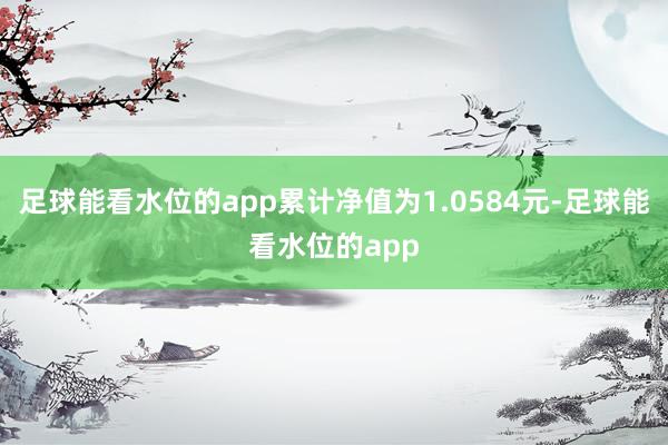 足球能看水位的app累计净值为1.0584元-足球能看水位的app
