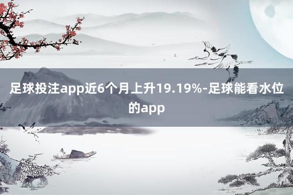 足球投注app近6个月上升19.19%-足球能看水位的app