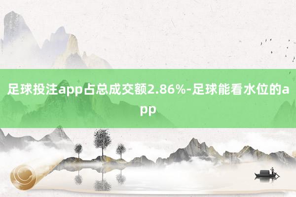 足球投注app占总成交额2.86%-足球能看水位的app