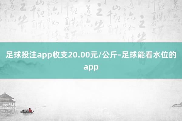 足球投注app收支20.00元/公斤-足球能看水位的app