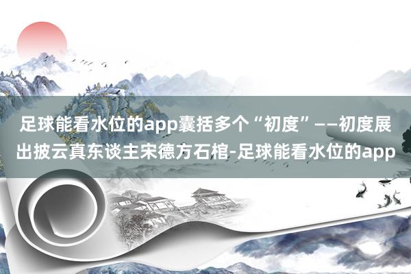 足球能看水位的app囊括多个“初度”——初度展出披云真东谈主宋德方石棺-足球能看水位的app