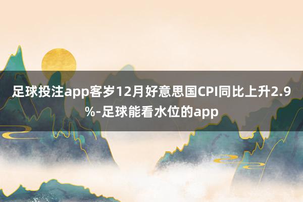 足球投注app客岁12月好意思国CPI同比上升2.9%-足球能看水位的app