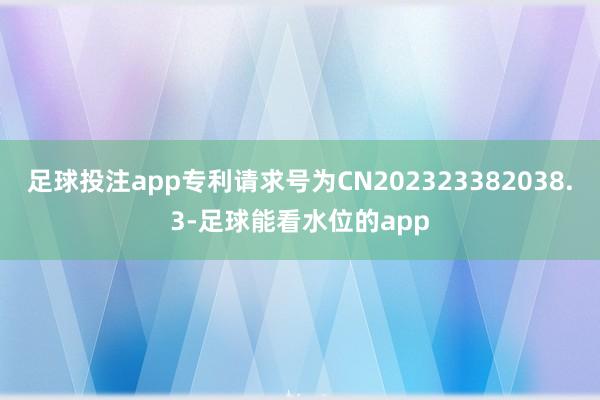 足球投注app专利请求号为CN202323382038.3-足球能看水位的app