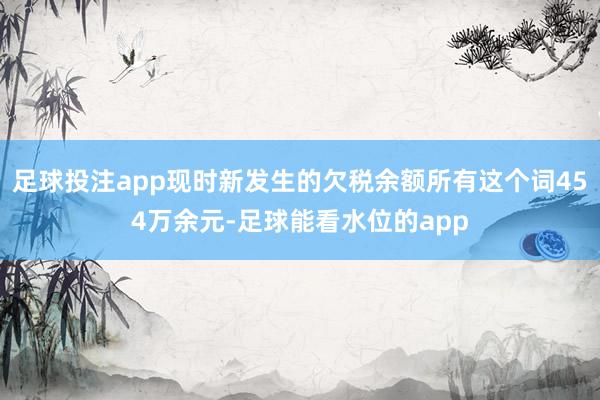 足球投注app现时新发生的欠税余额所有这个词454万余元-足球能看水位的app