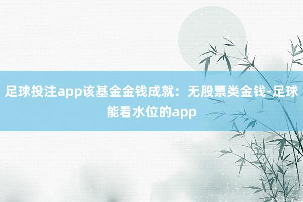 足球投注app该基金金钱成就：无股票类金钱-足球能看水位的app