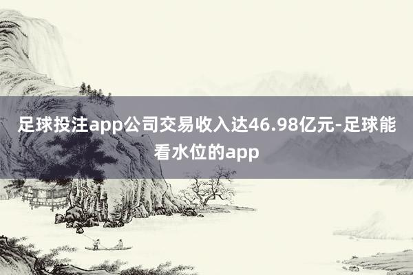 足球投注app公司交易收入达46.98亿元-足球能看水位的app