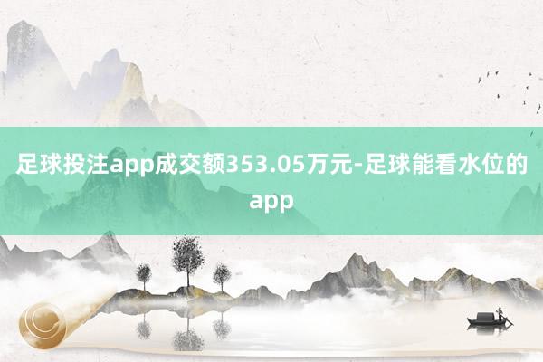 足球投注app成交额353.05万元-足球能看水位的app