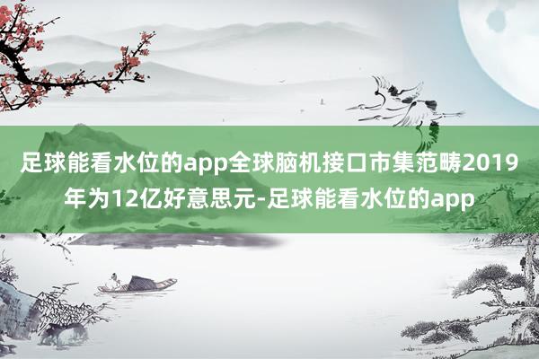 足球能看水位的app全球脑机接口市集范畴2019年为12亿好意思元-足球能看水位的app