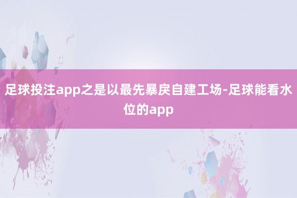 足球投注app之是以最先暴戾自建工场-足球能看水位的app