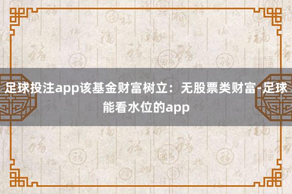 足球投注app该基金财富树立：无股票类财富-足球能看水位的app