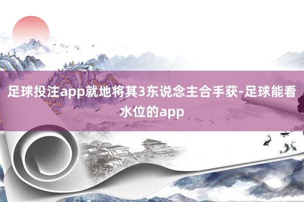 足球投注app就地将其3东说念主合手获-足球能看水位的app