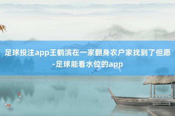足球投注app王鹤滨在一家翻身农户家找到了但愿-足球能看水位的app