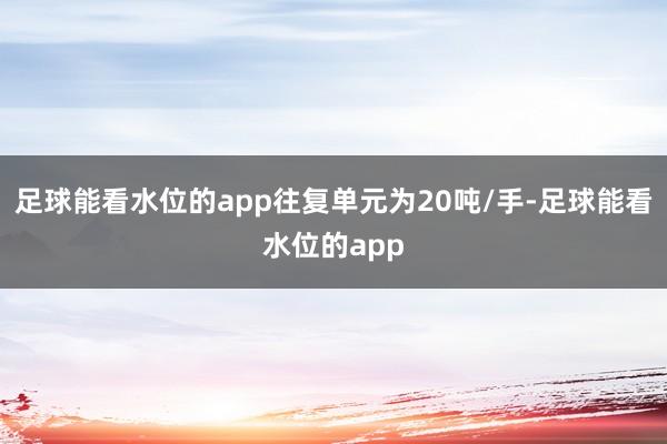 足球能看水位的app往复单元为20吨/手-足球能看水位的app