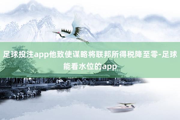 足球投注app他致使谋略将联邦所得税降至零-足球能看水位的app