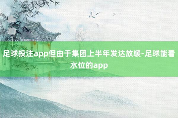 足球投注app但由于集团上半年发达放缓-足球能看水位的app