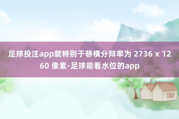 足球投注app就特别于骄横分辩率为 2736 x 1260 像素-足球能看水位的app