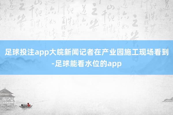 足球投注app大皖新闻记者在产业园施工现场看到-足球能看水位的app