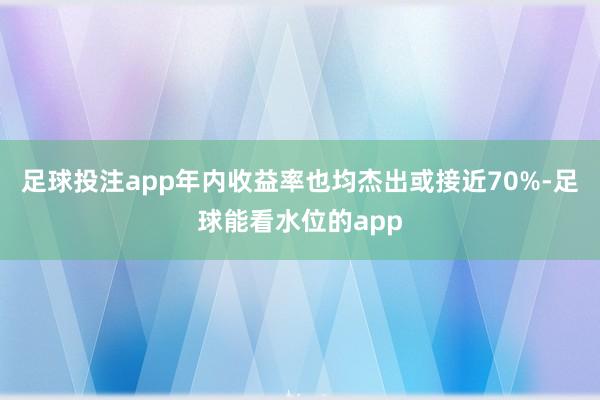 足球投注app年内收益率也均杰出或接近70%-足球能看水位的app