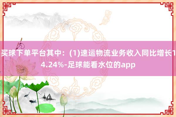 买球下单平台其中：(1)速运物流业务收入同比增长14.24%-足球能看水位的app