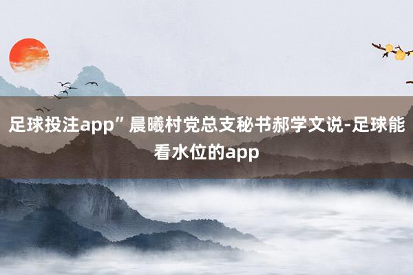 足球投注app”晨曦村党总支秘书郝学文说-足球能看水位的app