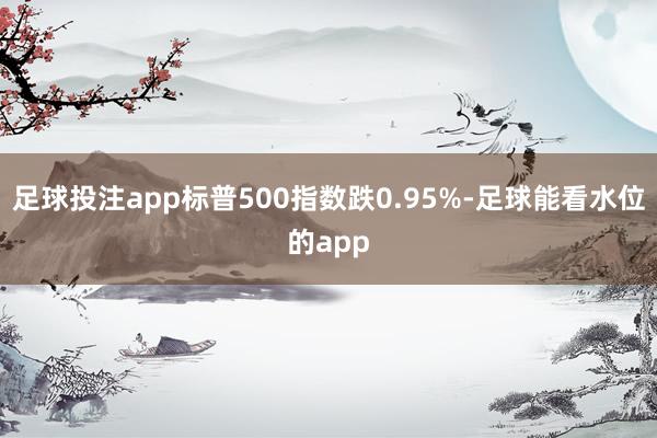 足球投注app标普500指数跌0.95%-足球能看水位的app