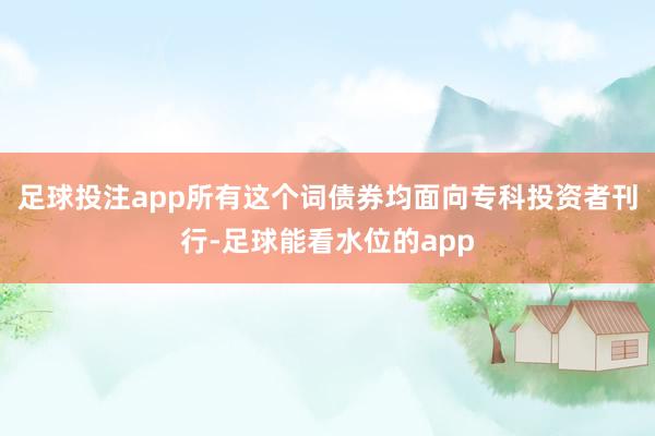 足球投注app所有这个词债券均面向专科投资者刊行-足球能看水位的app