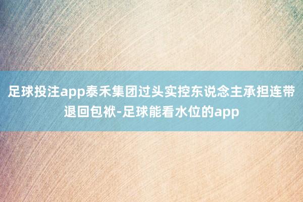 足球投注app泰禾集团过头实控东说念主承担连带退回包袱-足球能看水位的app
