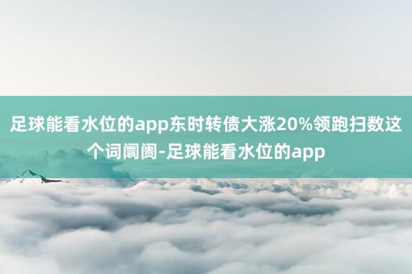 足球能看水位的app东时转债大涨20%领跑扫数这个词阛阓-足球能看水位的app