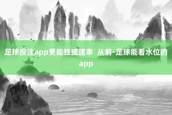 足球投注app更能独揽速率  从前-足球能看水位的app