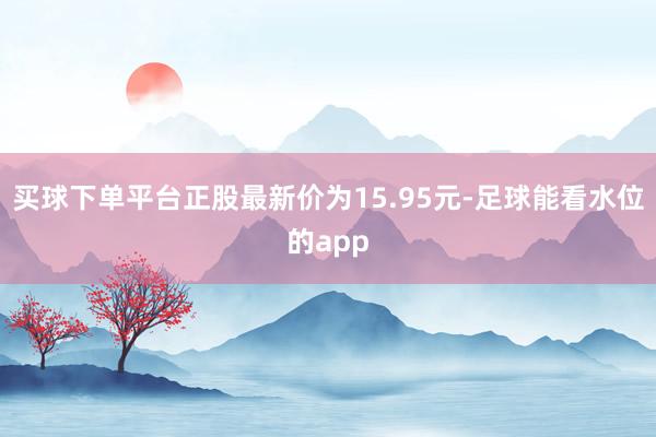 买球下单平台正股最新价为15.95元-足球能看水位的app