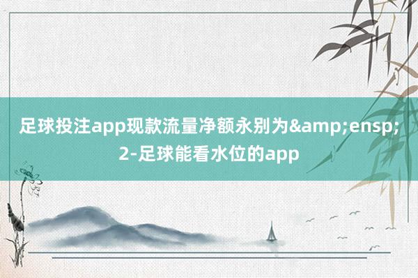 足球投注app现款流量净额永别为 2-足球能看水位的app