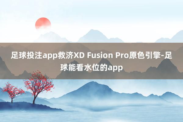足球投注app救济XD Fusion Pro原色引擎-足球能看水位的app